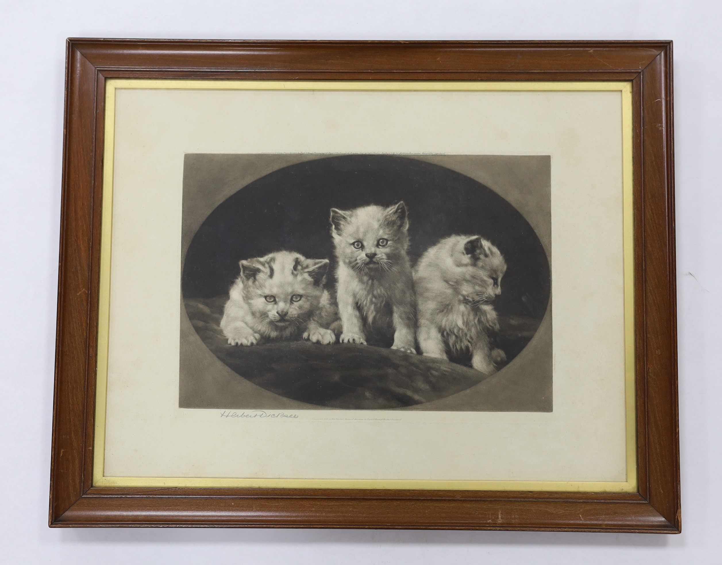 Herbert Dicksee (1862-1942), etching, Kittens, signed in pencil, publ. 1903, 36 x 47cm